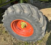 Koło kompl opona 14,4R20, 14,5/75/20 tył kombajn Claas Dominator Mega