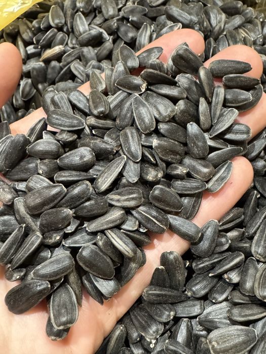 Насіння соняшника для смаження