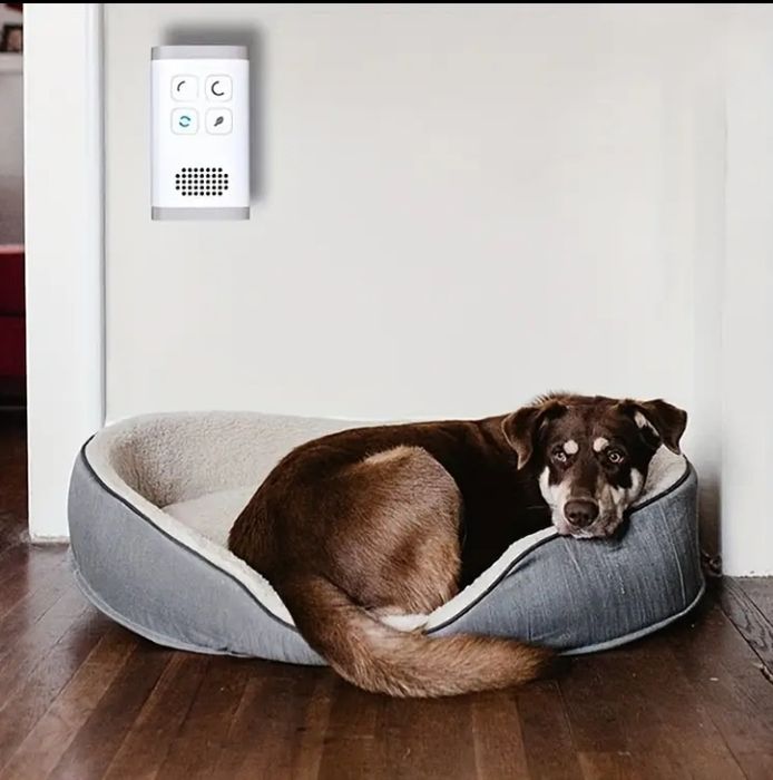 озоновий очищувач повітря, видаляє запахи