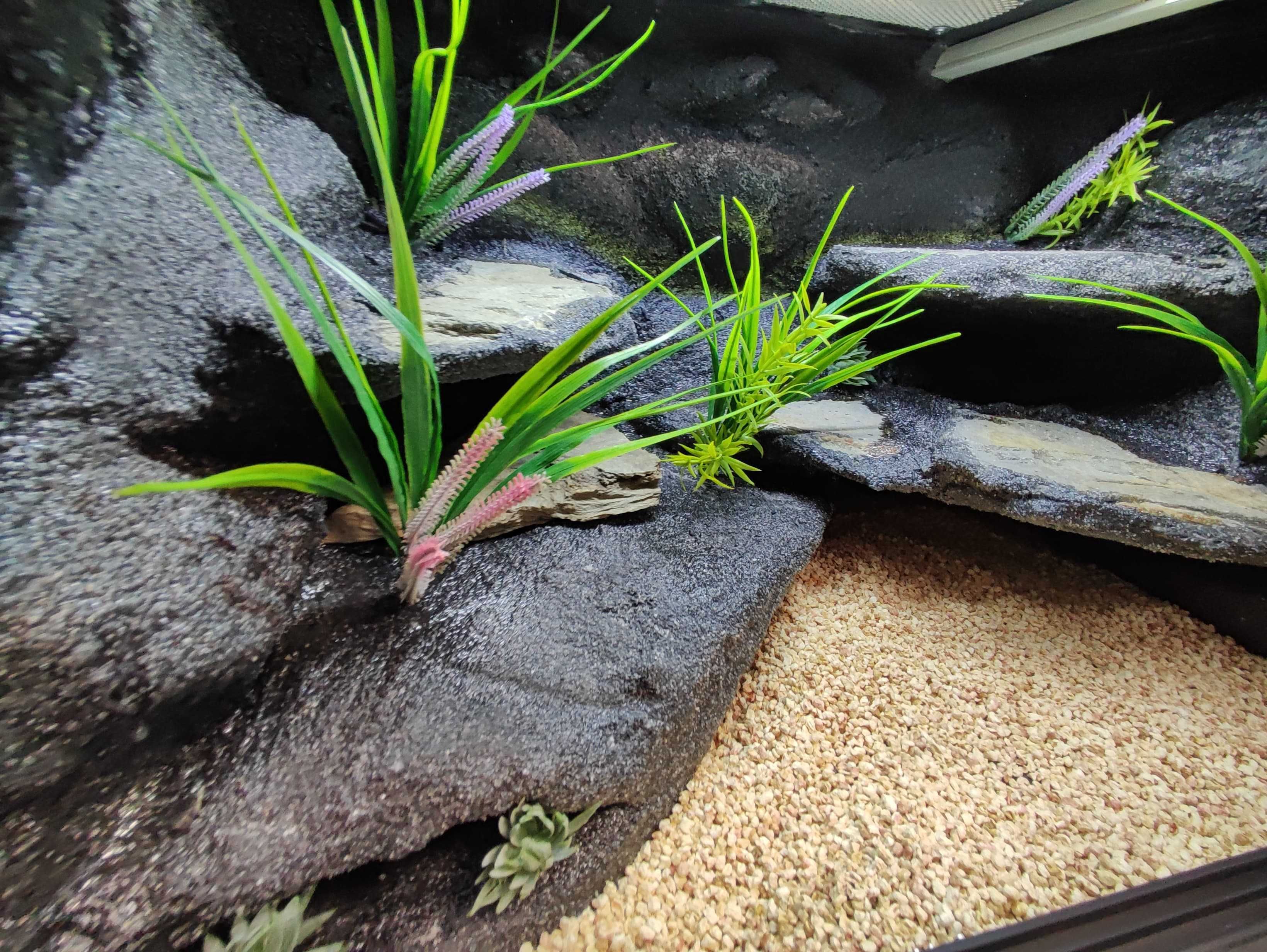 Terrarium pustynne nr748 60/40/40 dla gekona lamparciego DOSTĘPNE