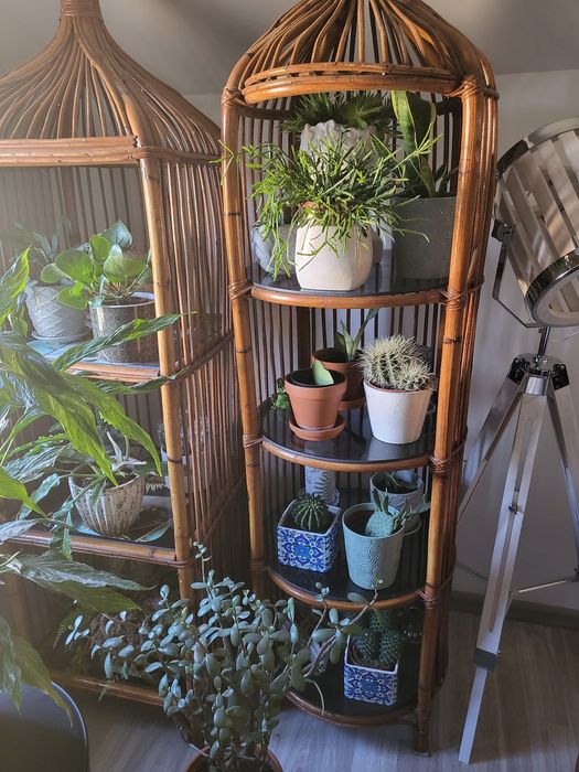 Klosze duże rattan