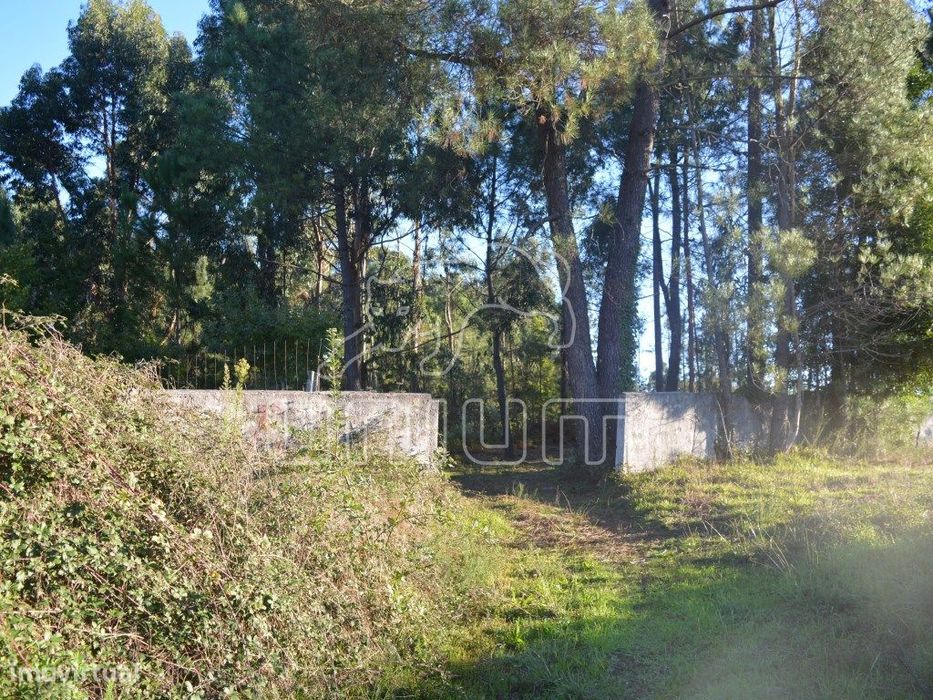 Terreno em São Salvador da Torre