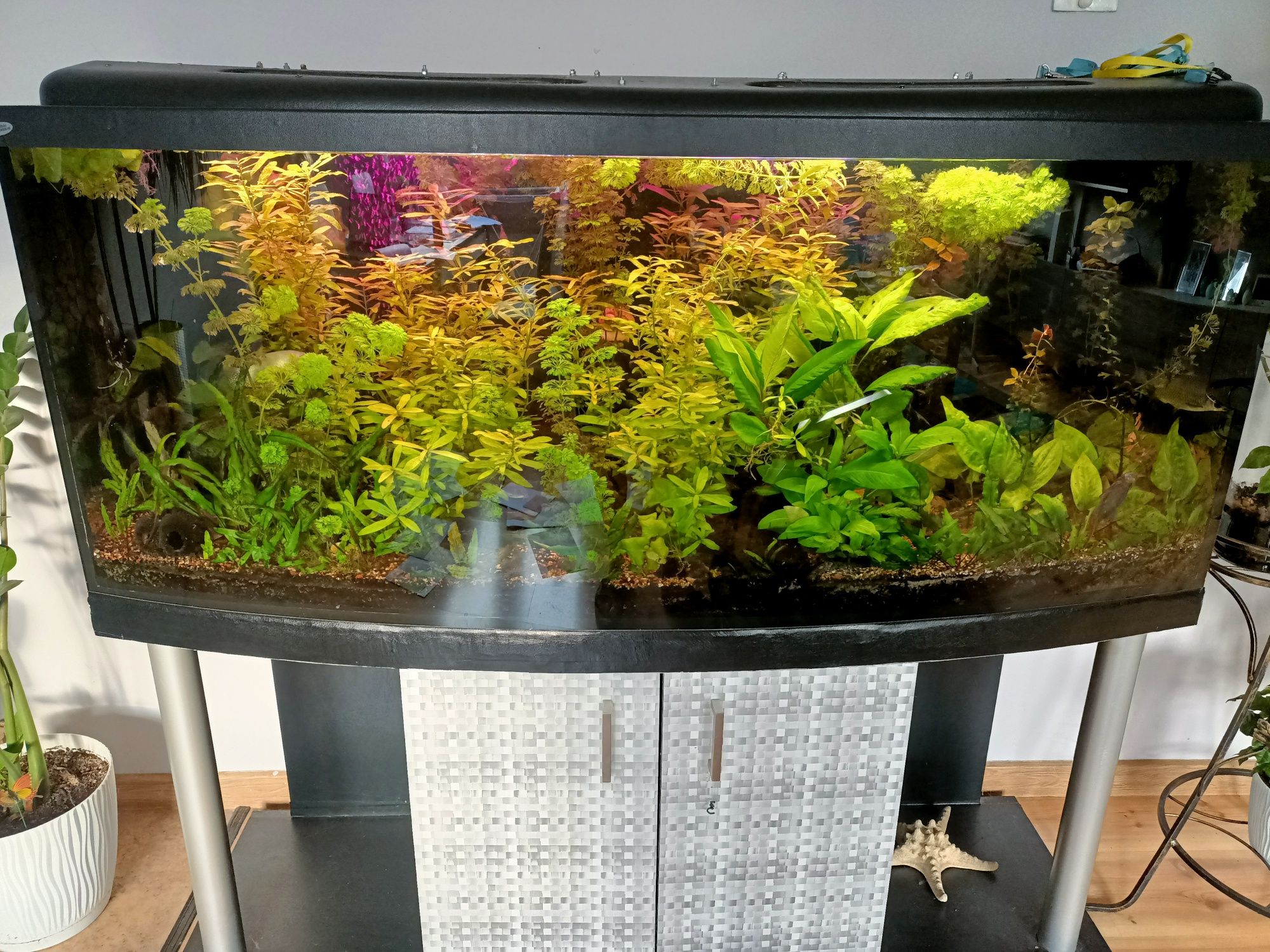 Akwarium 450 l cały zestaw