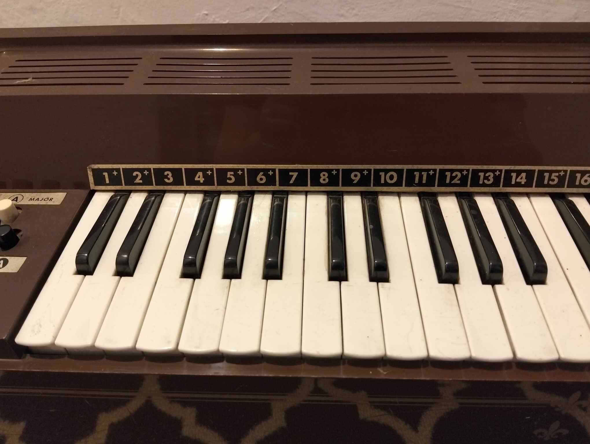 Organy elektryczne MAGNUS 401 USA
