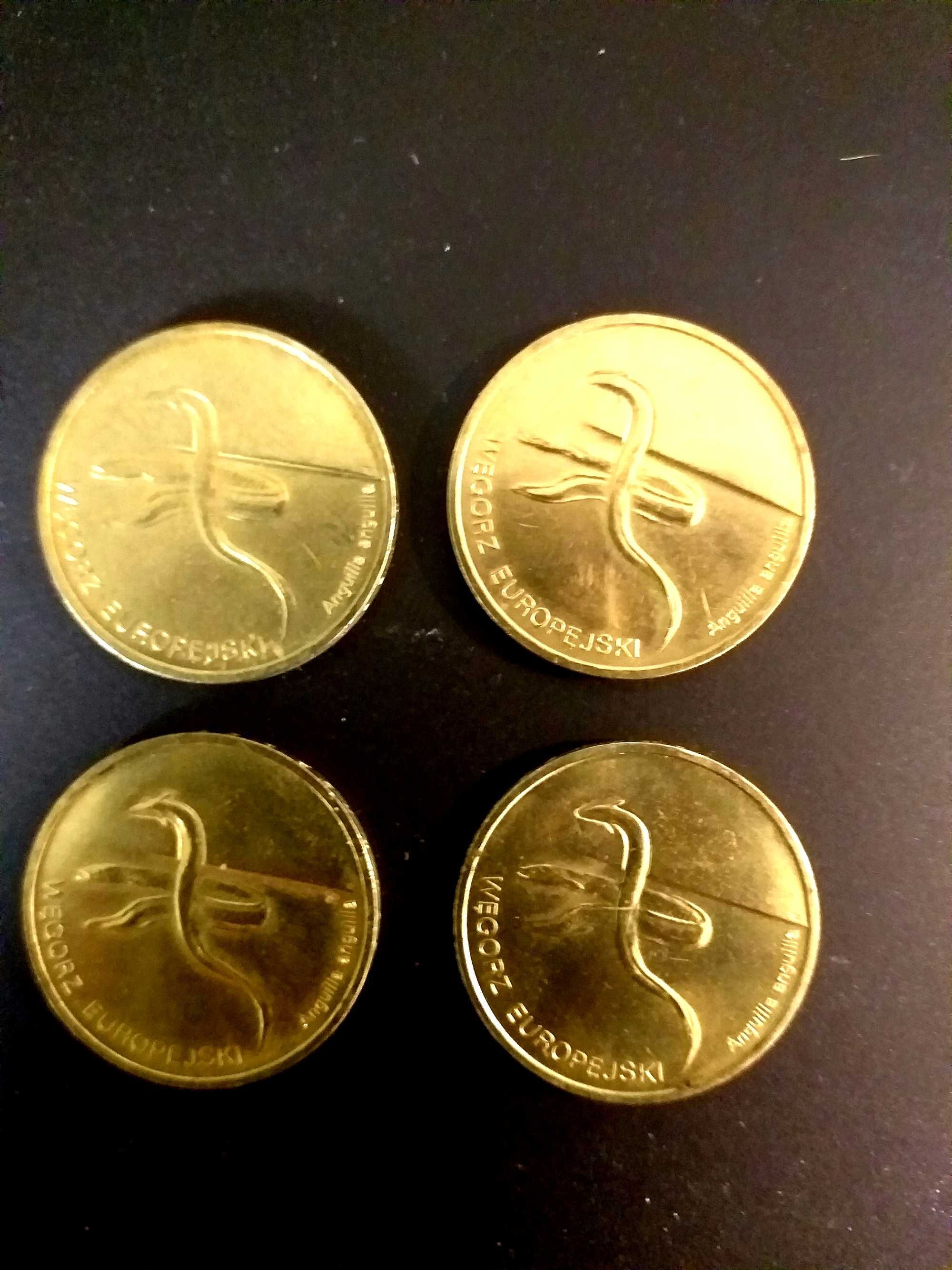 Węgorz Europejski 2 zł. 2003r. polskie Nordic Gold, zamiana na inne.