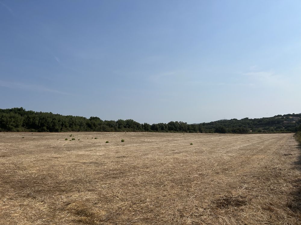 Terreno Morelene, Pero Pinheiro