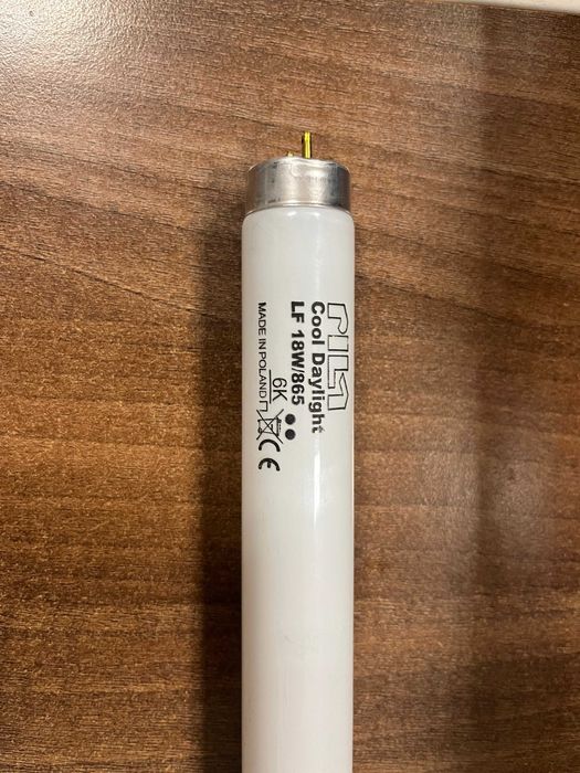 PILA Świetlówka 18 W Cool Daylight 60 cm