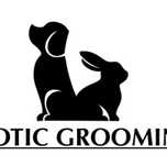 Serviço Exotic Grooming