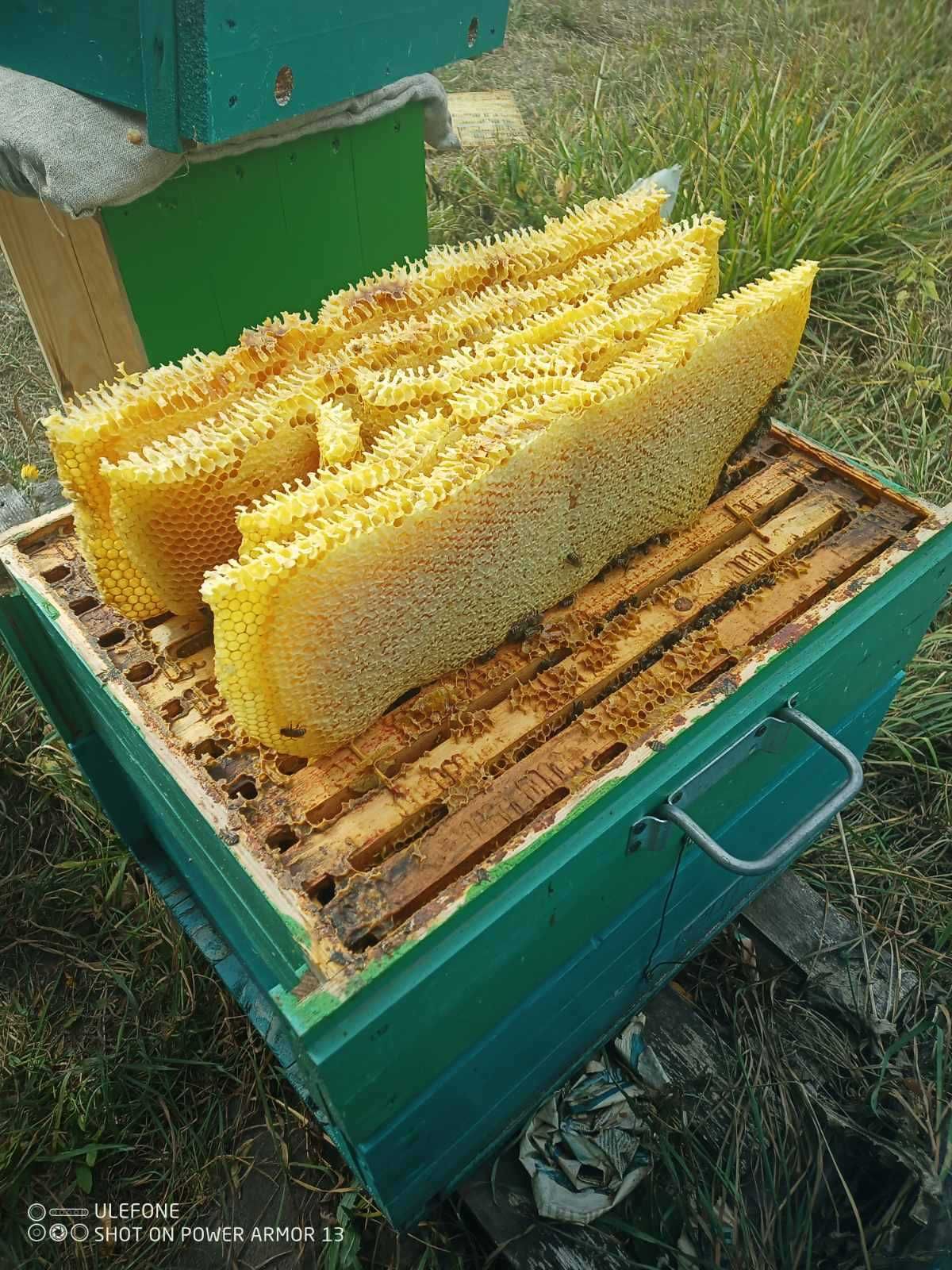 Якісний лісовий мед.