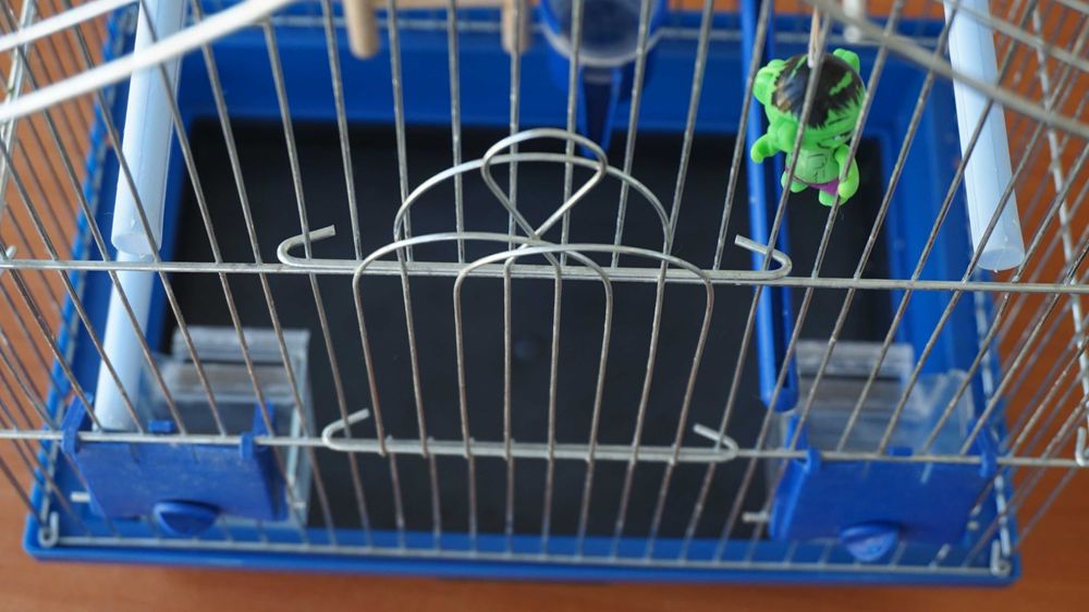 Клетка для попугаев, канареек и других маленьких птиц