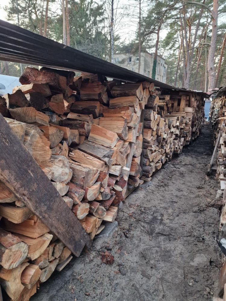 Drewno liściaste i sosnowe