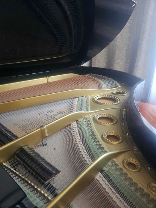 Fortepian C.Bechstein czarny połysk ,piękny !