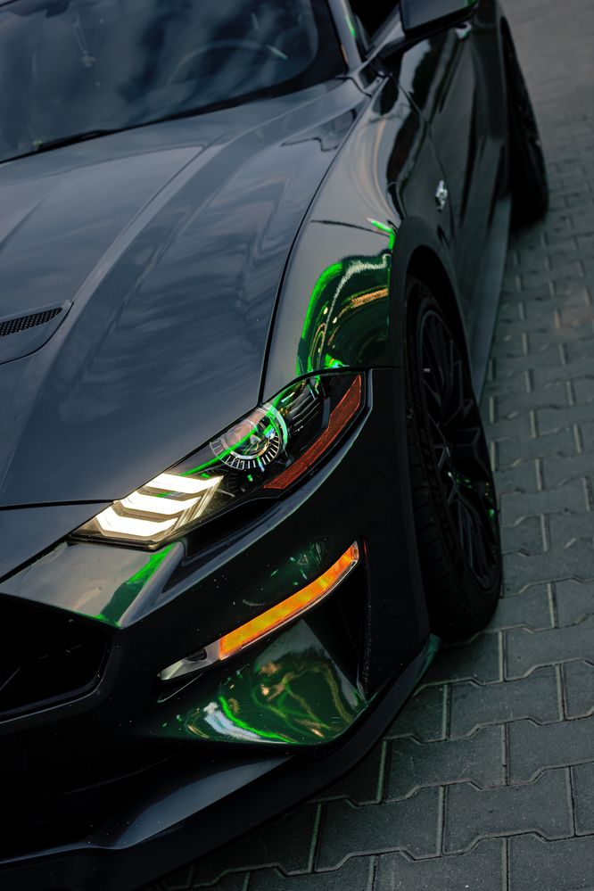 5.0 Ford Mustang Performance Package