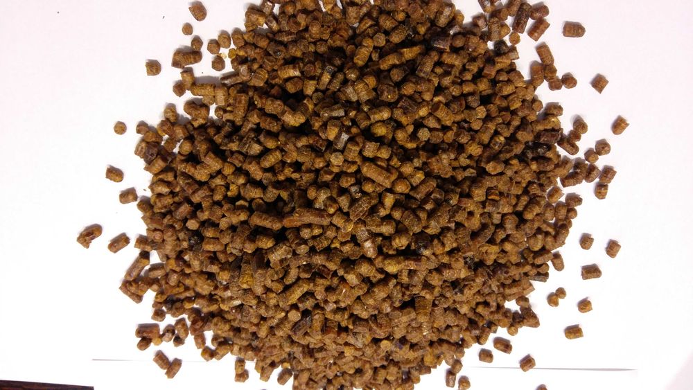 Pierzga Pszczela z Doliny Rospudy, Suwalszczyzny 0,5 kg. 2025r.