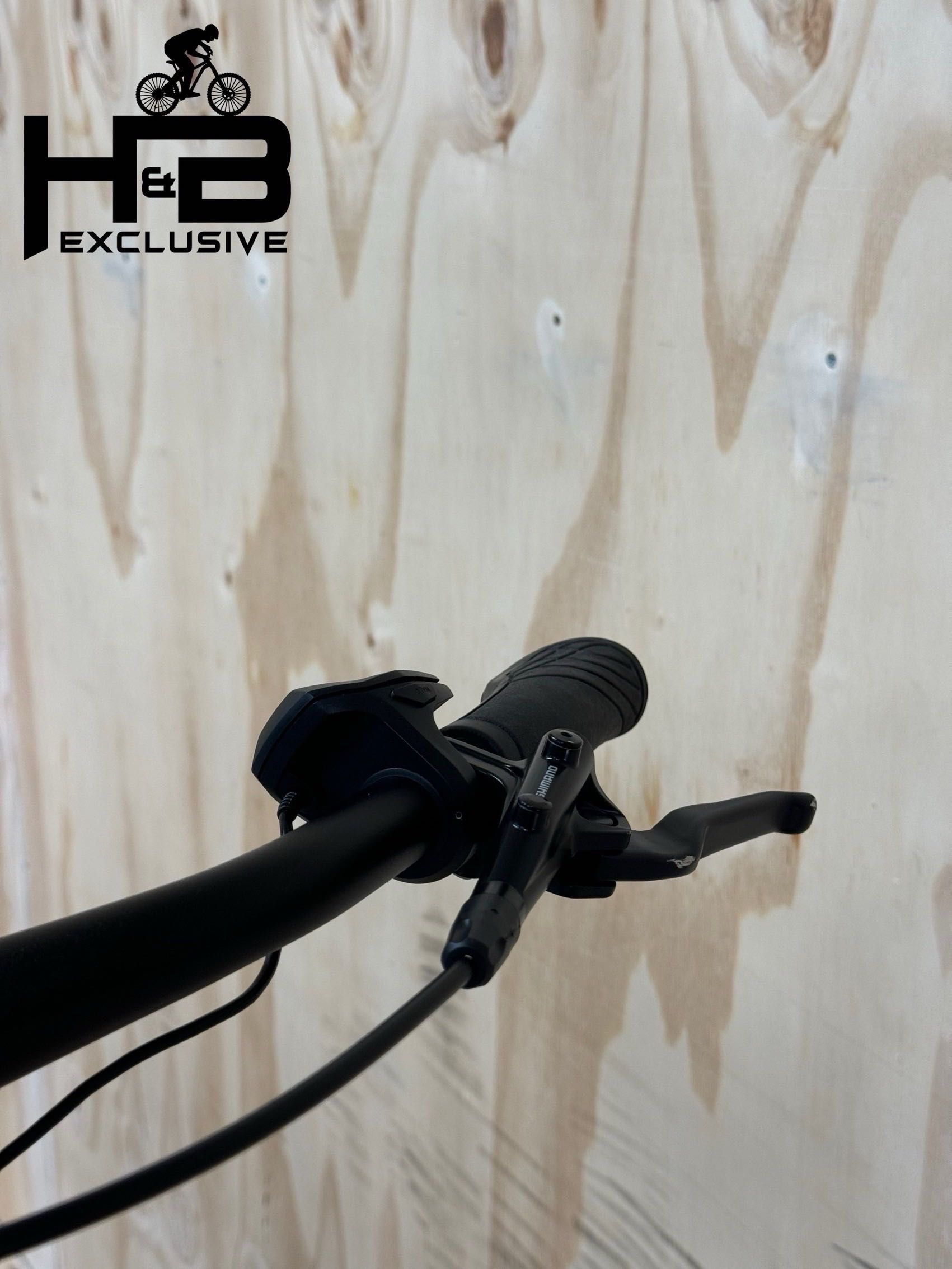 Kalkhoff Endeavour 5.B Move+ Shimano Deore 2021