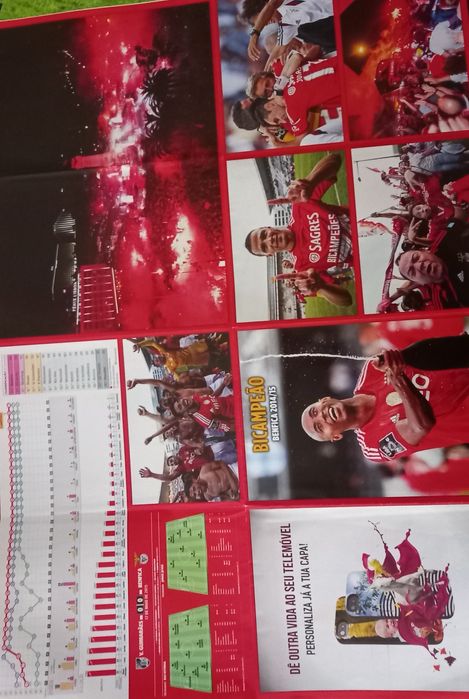 poster grande Benfica bicampeão 2014/15