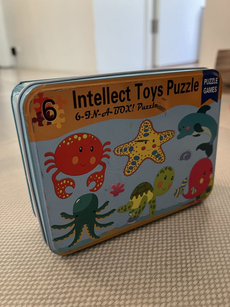 Дерев'яні пазли intellect toys