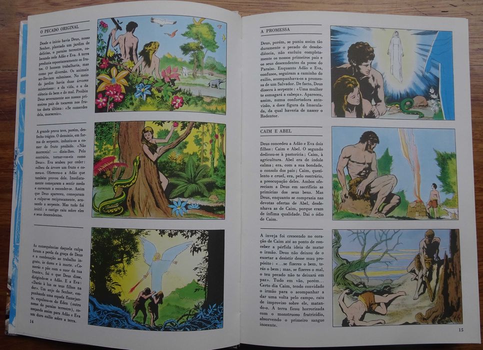 A Bíblia em Banda Desenhada - A Mais Bela História