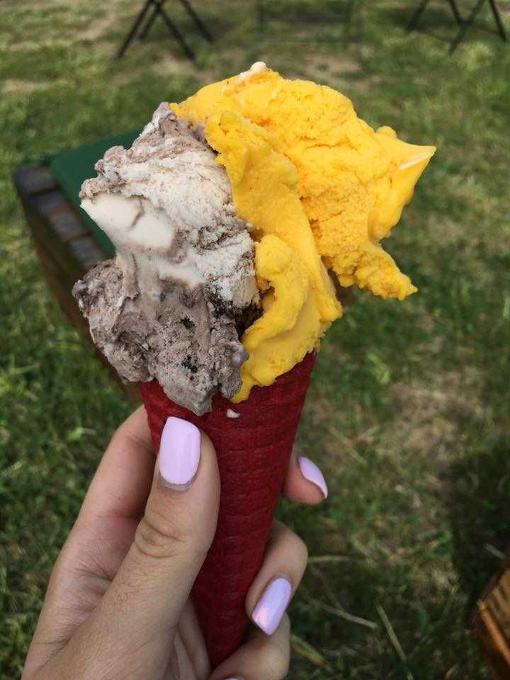 Lody, gofry, kawa, lemoniady - obsługa imprez, eventów.