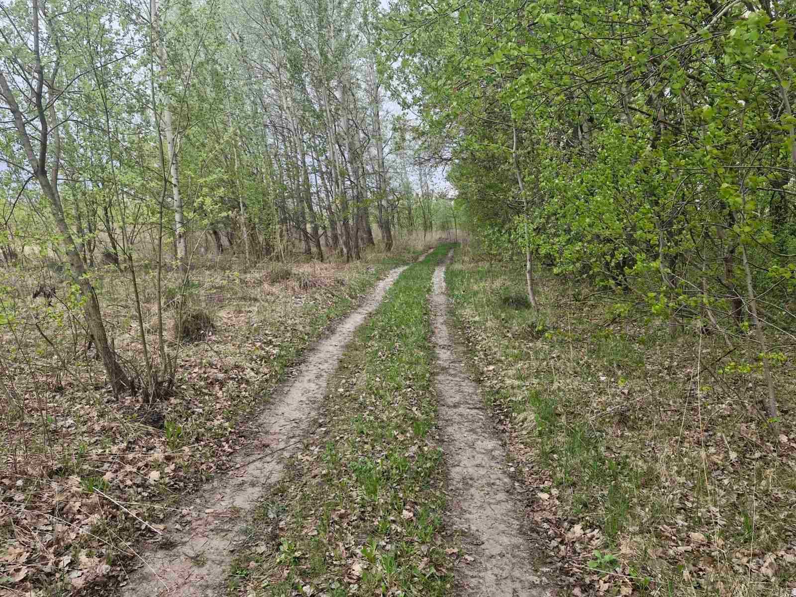 Ділянка 8сот Хінчанка/Параджанова (26133956)