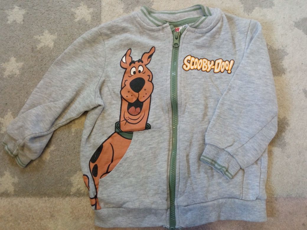 Bluza dresowa Scooby Doo r.98