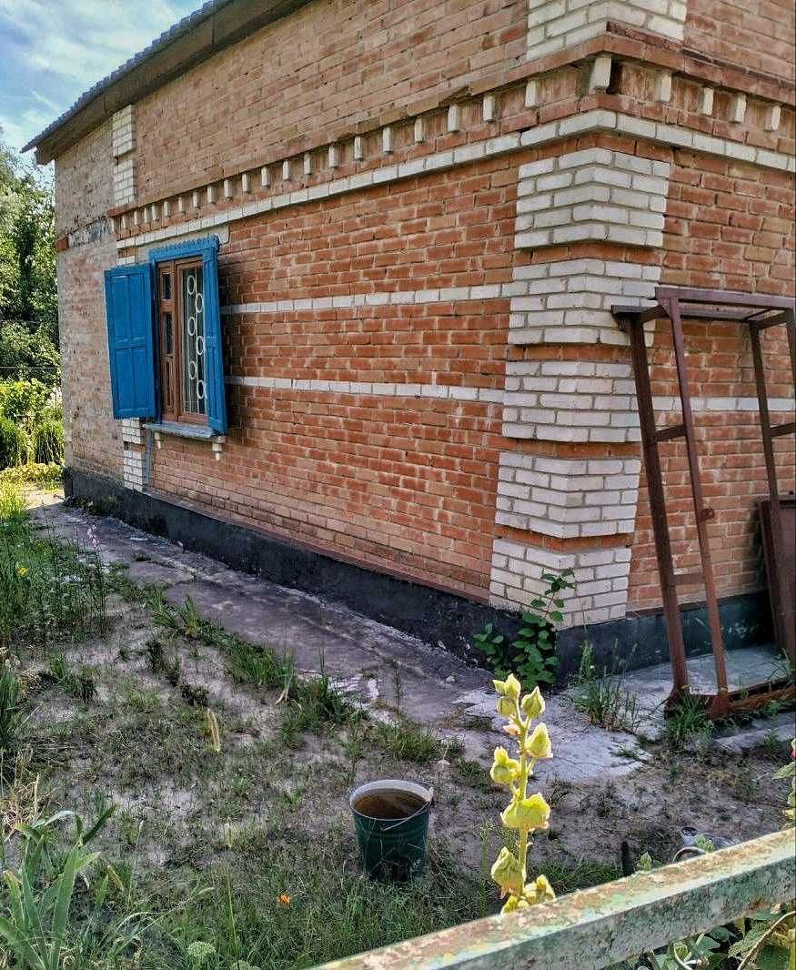Продам дачу  Лісові Поляни, с. Надержинщина (Полтавська обл.)