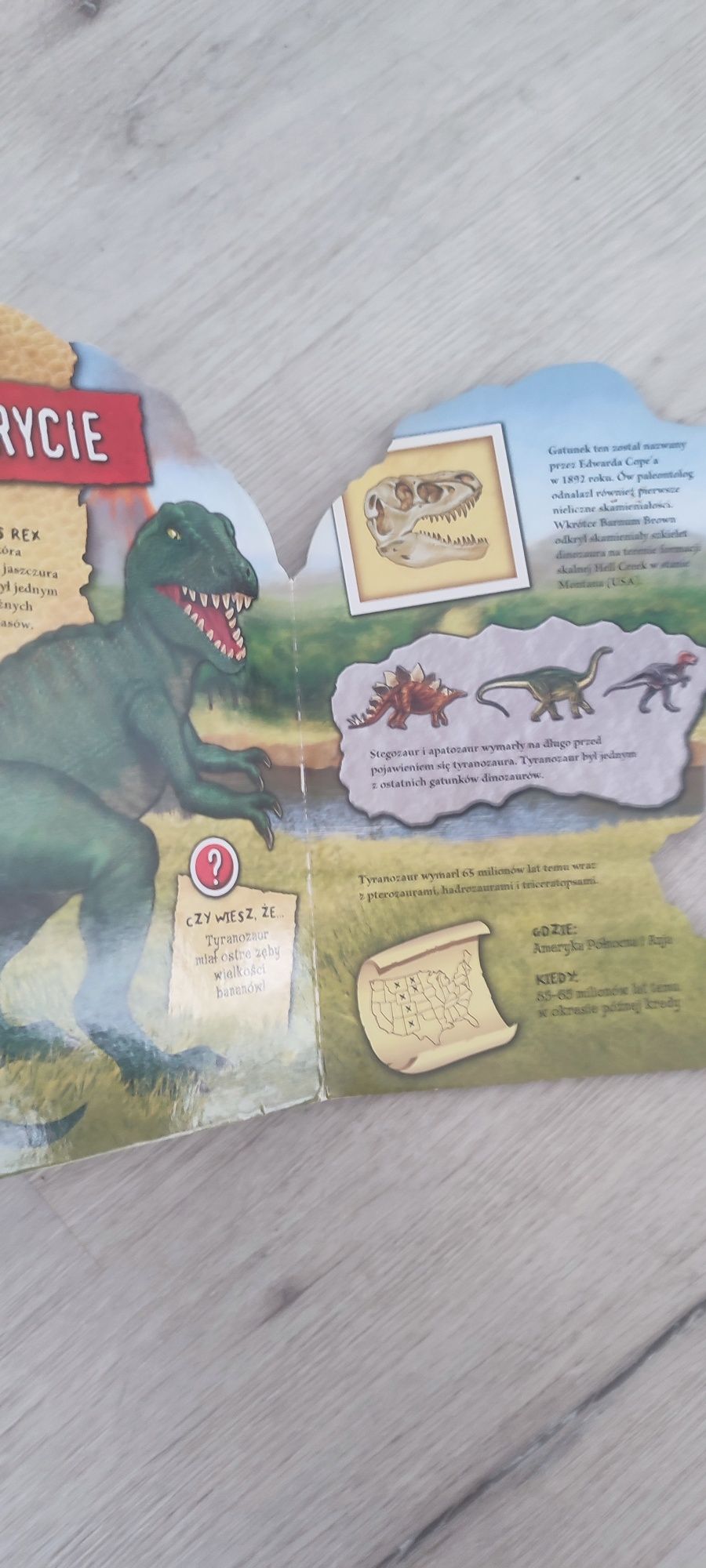 Komplet książeczek Dinozaury Tyranozaur Apatozaur Stegozaur Triceratop