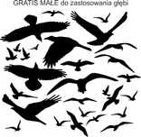 Naklejki odstraszające PTAKI na szybę 25cm + dużo małych gratis