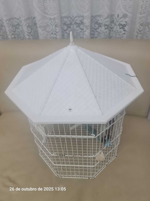 gaiola hexagonal - Nº 2