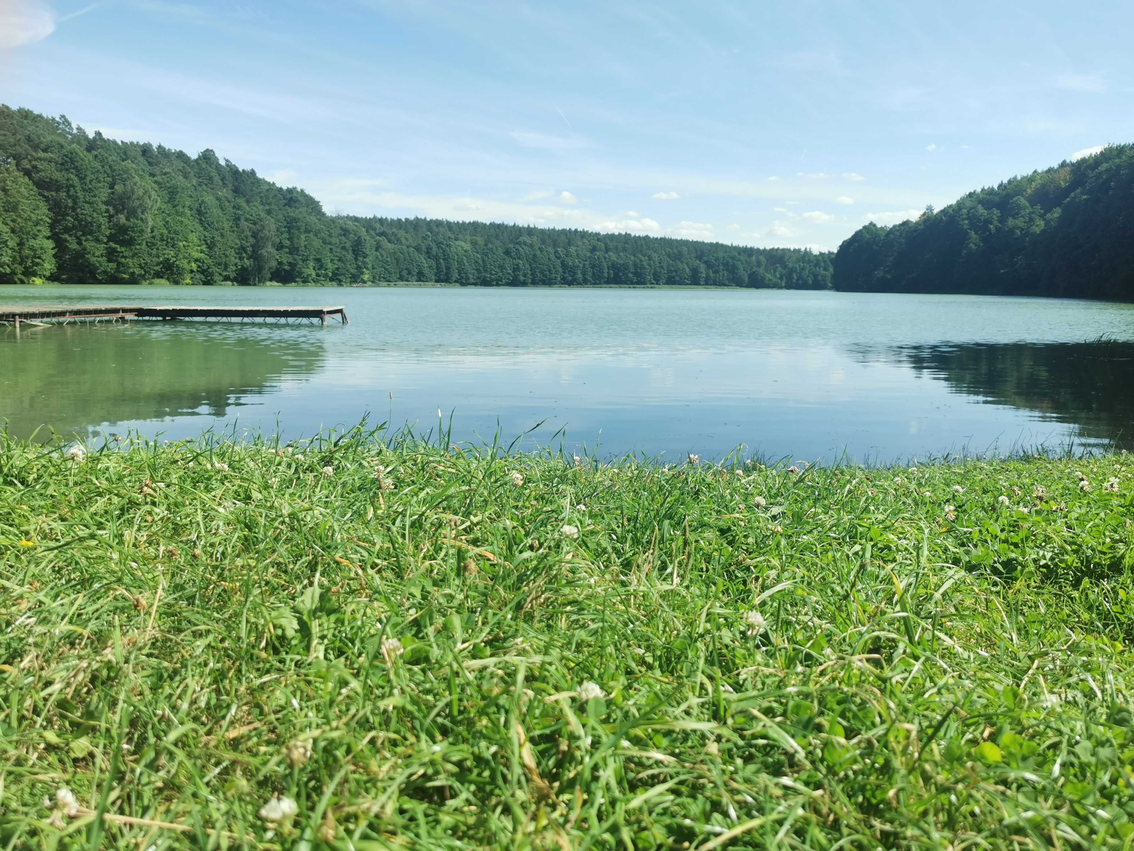 Klimatyczny domek nad brzegiem Dobrzycy Zach-p/Wielkop. Młyńska Dolina