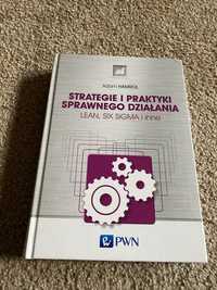 Książka Strategie i Praktyki Sprawnego Działania Lean Six Sigma i inne