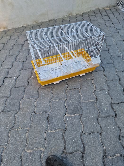Gaiolas para aves