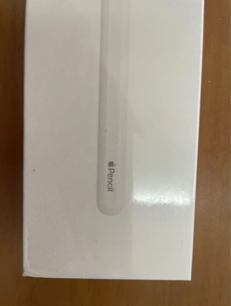 Caneta Apple Pencil