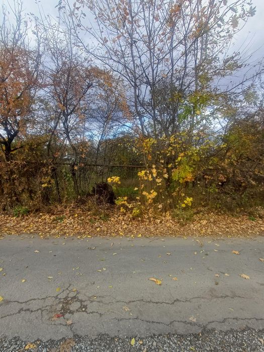 Продаж земельноі ділянки, р-н Руськоі