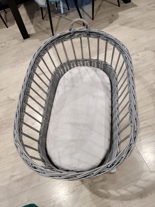 Szary kosz Mojżesza