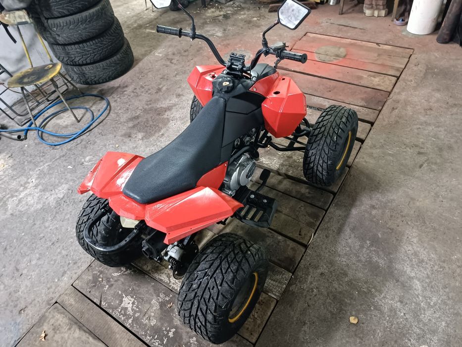 Egl 110 (quad Bashan loncin cross 125)