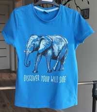 Niebieska koszulka niebieski t-shirt słoń ze słoniem 122