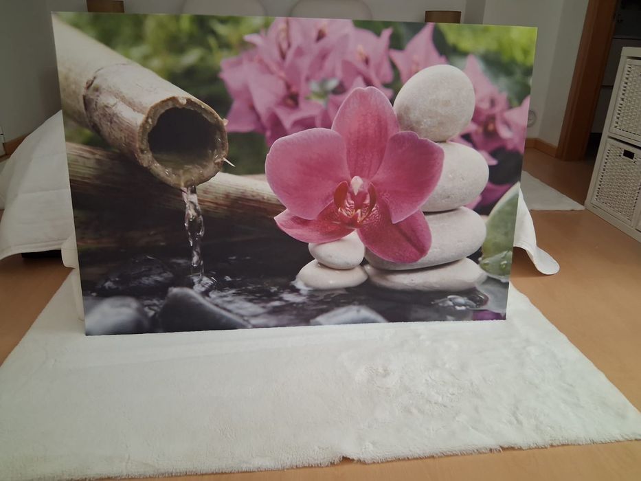 Tela quadro lindíssimo