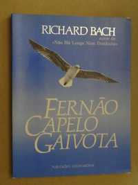 Fernão Capelo Gaivota de Richard Bach