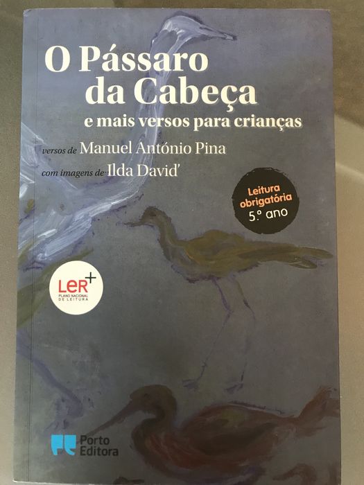 O Pássaro da cabeça