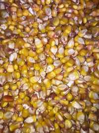 Зерно 1тона кукурудзи кукуруза пшениця