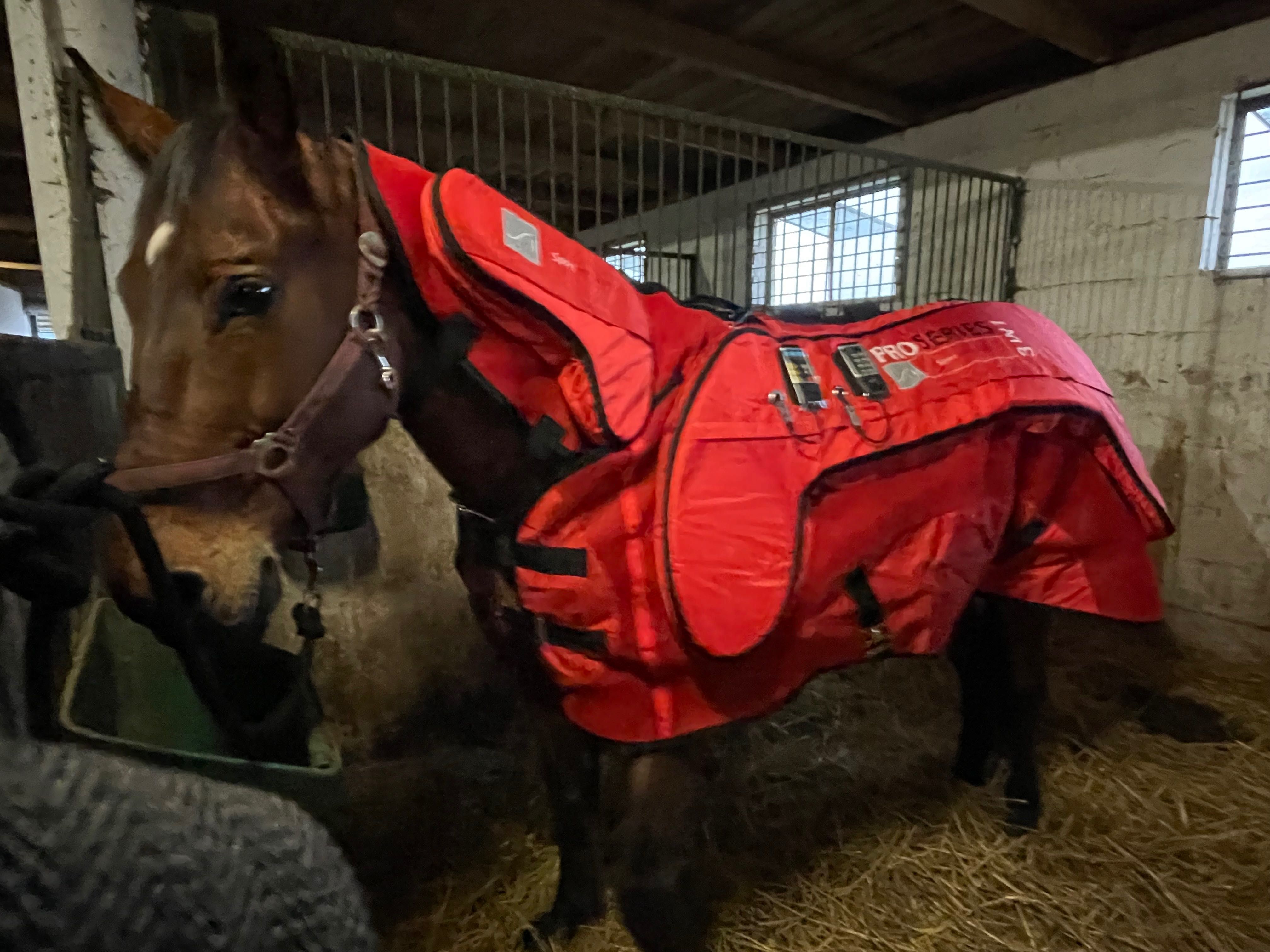 Derka terapeutyczna PEMF ProSeries 3in1