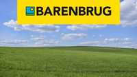 Barenbrug mieszanki traw lucerna bg lucerna alfacomfort bg-8, bg-11