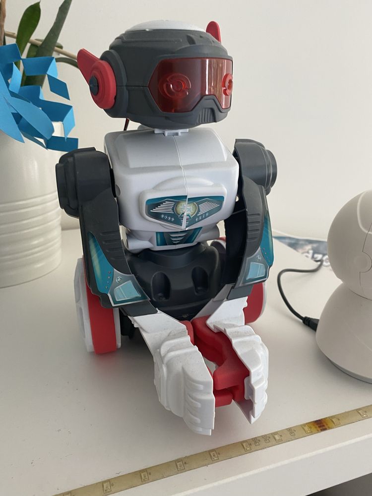 Robot interaktywny EvolutionRobot