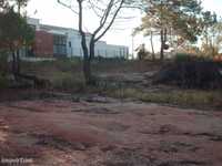 Terreno de 4 hectares na Patã de Baixo