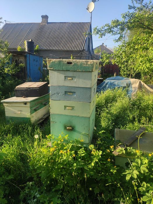 Улья, улей для пчел, разные