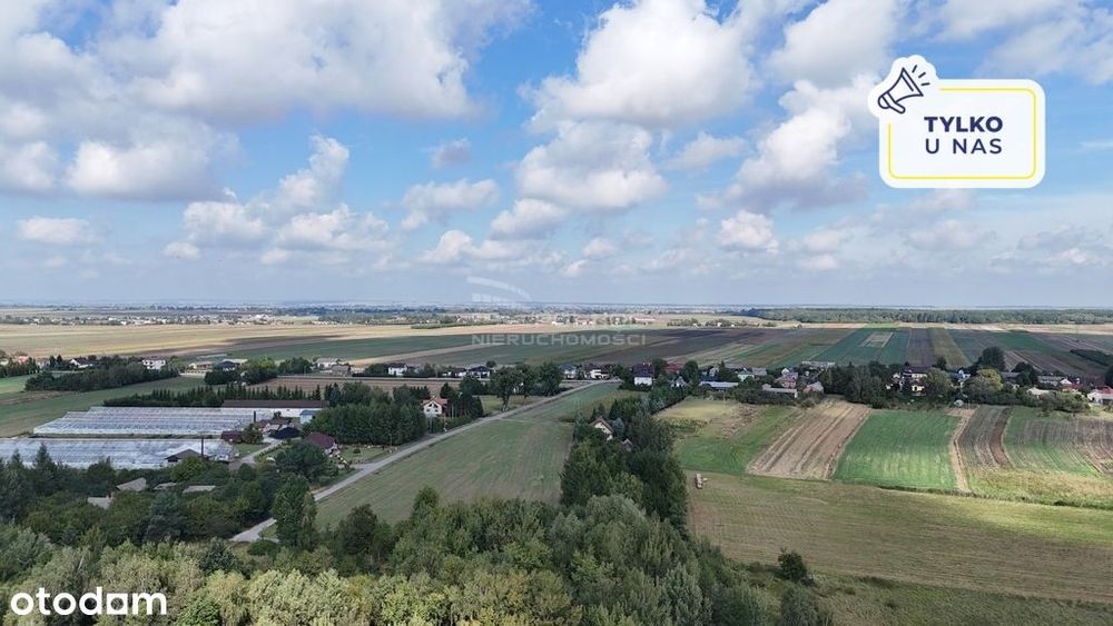działka inwestycyjna 1,28 ha –Barchaczów, Łabunie