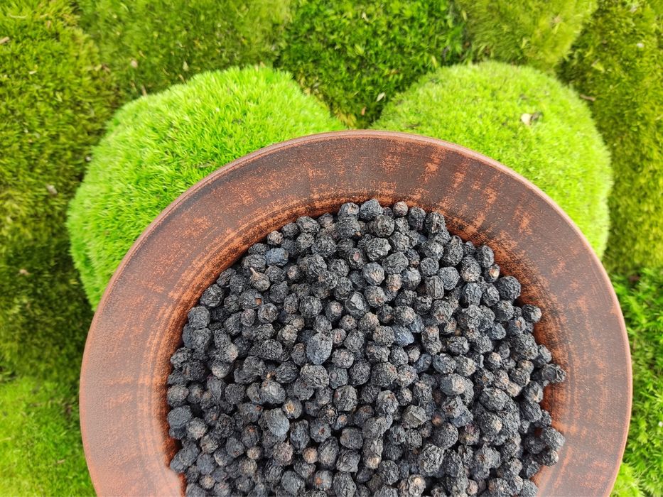 Аронія сушена, горобина чорноплідна, арония черноплодная