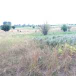 Duża Działka 7500m2, koło jeziora i nad rzeką, Stare Czarnowo OKAZJA