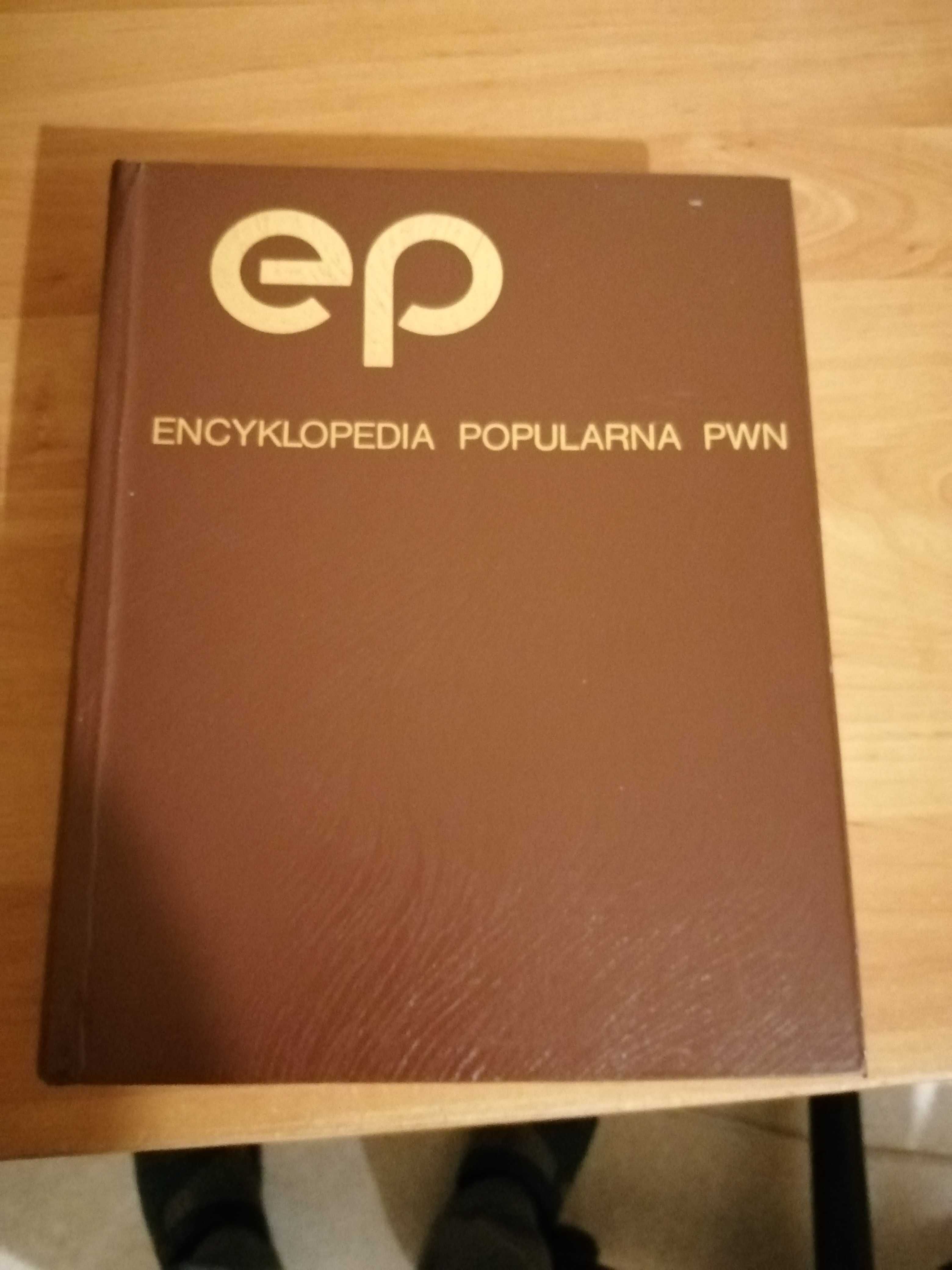 Encyklopedia popularna Pwn